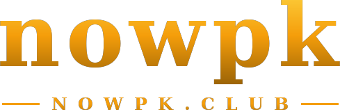 nowpk logo